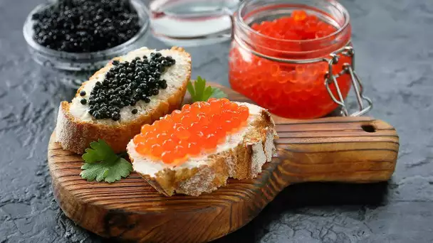 Comment le caviar est arrivé en Aquitaine