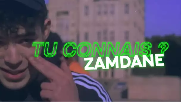 Tu connais... Zamdane ?