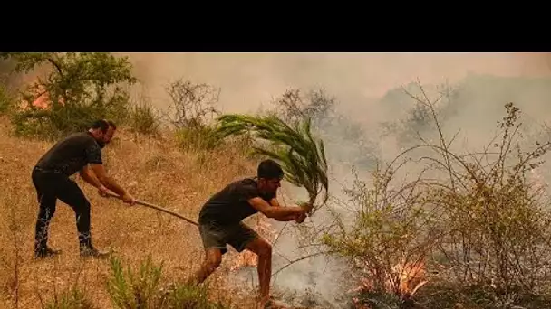 Plusieurs morts dans les feux de forêt qui touchent le sud de la Turquie