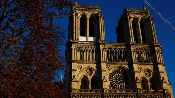 Notre-Dame : le rouge des martyrs