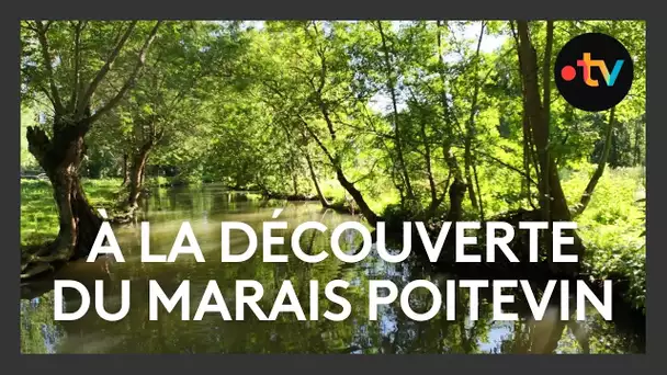 À la découverte du Marais poitevin / Ici en France - page été