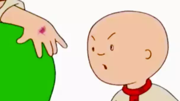 Caillou en français - Caillou et  l&#039;accident | conte pour enfant | dessin anime