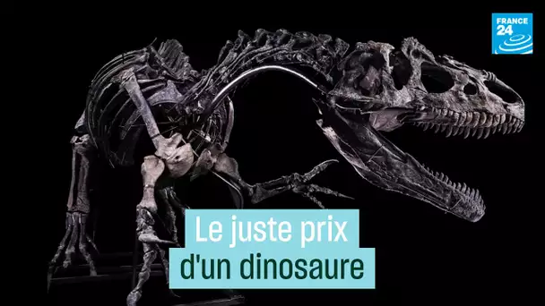 Le juste prix des dinosaures • FRANCE 24