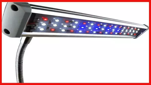 Finnex FugeRay Planted+ Aquarium LED Light Plus Moonlights, Cliplight, Silver,10 x 2.5 x 9.5 inches