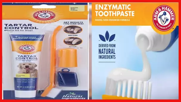 Arm & Hammer for Pets Tartar Control Kit for Dogs | Contains Toothpaste, Toothbrush & Fingerbrush