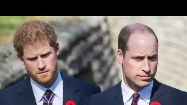 Trop c'est trop!' L'avertissement de divorce de la reine au prince William et au prince Harry mis à