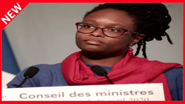 ✅  Sibeth Ndiaye piégée : BFM TV la filme en train de fumer dans son bureau puis s'excuse