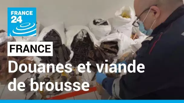 France : à Roissy, les douaniers font la chasse à la viande de brousse • FRANCE 24