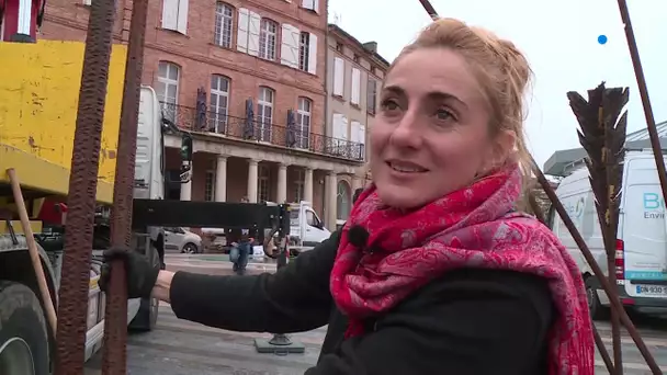 Les Flèches d'Héraklès, dernière sculpture d'Emilie Prouchet Dalla-Costa, installées à Montauban