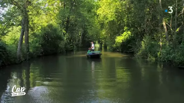 Cap Sud Ouest: Marais Poitevin, les enfants du marais