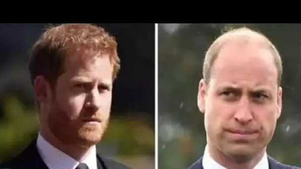 Principale raison pour laquelle le prince Harry a reçu un énorme héritage et pas le prince William