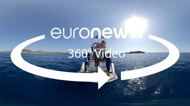 Vidéo 360° : quel est l'impact écologique et économique de la pêche récréative dans l'UE ?