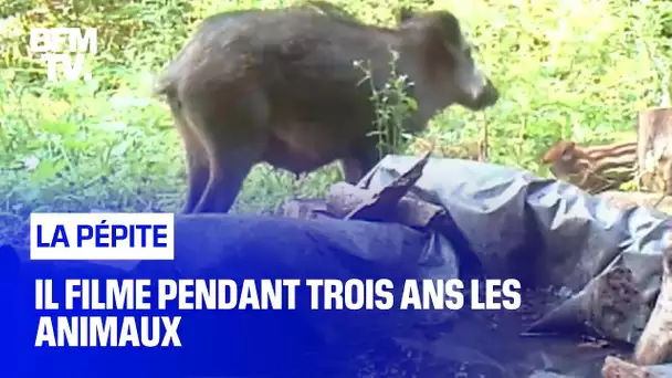 Il filme pendant trois ans les animaux