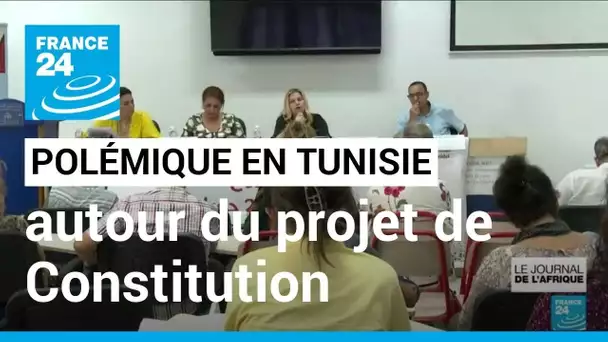 Tunisie : le projet de nouvelle Constitution inquiète les juristes • FRANCE 24