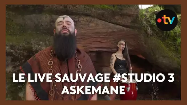 #studio3 : Le Live Sauvage avec ASKEMÅNE - Energium Legging