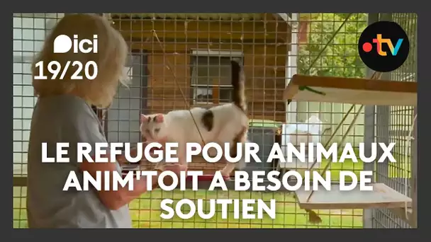 Indépendant, situé à la campagne, le refuge pour animaux Anim'Toit a besoin de soutien