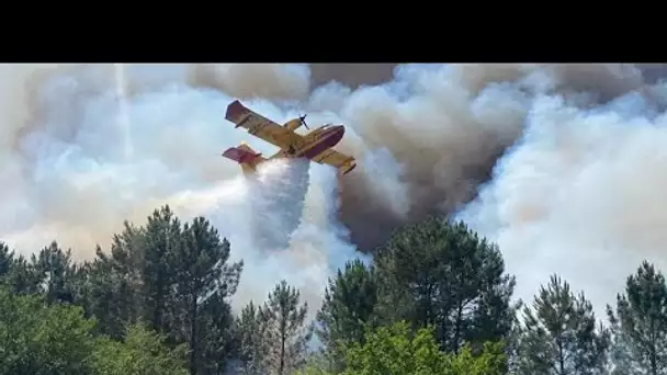 France : les incendies ont déjà ravagé près de 20 000 hectares en Gironde