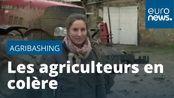 Après les Allemands, pourquoi les agriculteurs français se mobilisent-ils ?