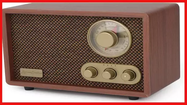 ByronStatics Bluetooth Speaker,AM/FM Radio,Retro Portable Bluetooth Speakers,Analog,Vintage Design,