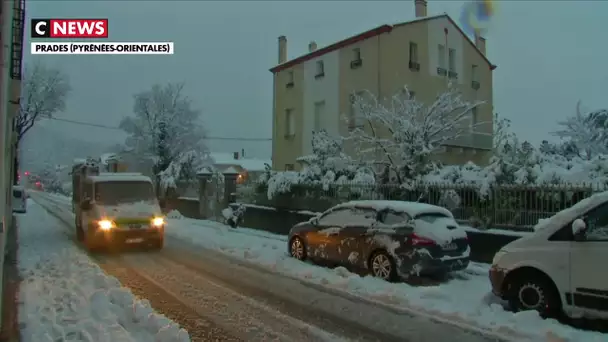 Pyrénées-Orientales : les autorités locales s'inquiètent de l'évolution de la tempête Gloria