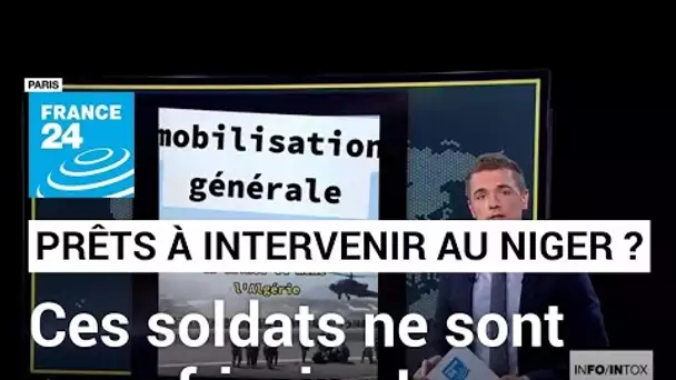 Des troupes africaines prêtes à intervenir au Niger ? • FRANCE 24