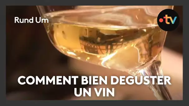 Tous les conseils pour correctement déguster le vin