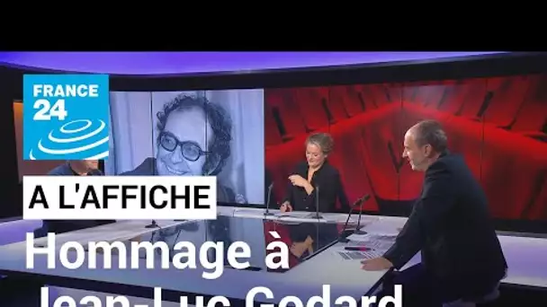 Pour Romain Goupil, "Godard était malicieux, blagueur mais en même temps très sérieux" • FRANCE 24