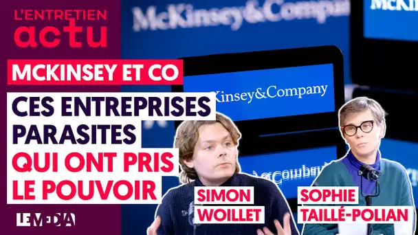 MCKINSEY, PANTOUFLAGE ET COPINAGE/CE CANCER QUI RONGE NOTRE DÉMOCRATIE