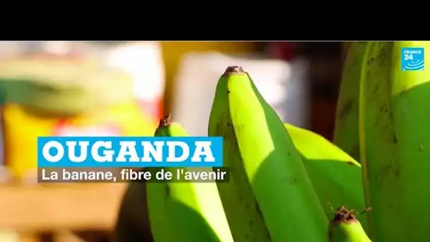 Ouganda : la banane, fibre de l'avenir