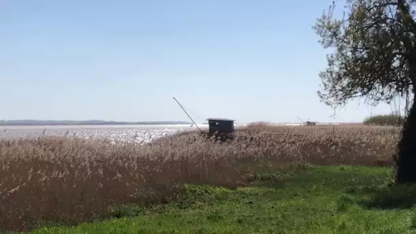 'Tous les chemins mènent à Pauillac' en Gironde