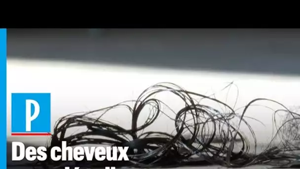 Les « Coiffeurs Justes » récupèrent vos cheveux pour aider à dépolluer