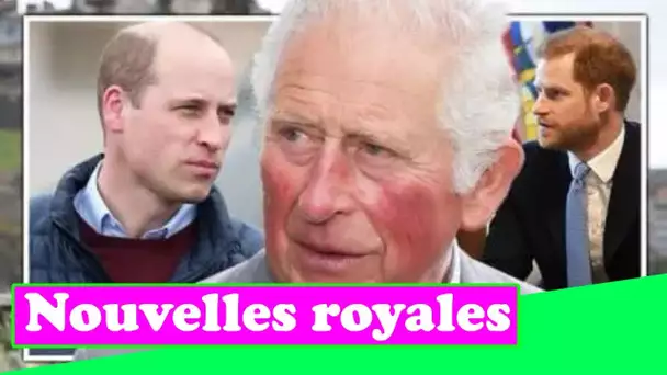 Famille royale EN DIRECT: Charles étend la branche d'olivier « importante » de William alors que Har