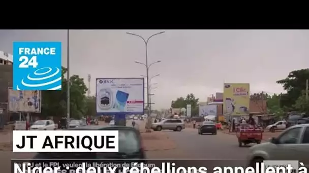 Au Niger, 2 rébellions le FPJ et le FPL appellent à la libération de Bazoum • FRANCE 24