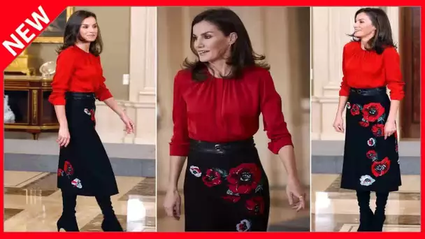 ✅  Letizia d’Espagne, trop ambitieuse pour la maternité ? Quand la reine déclarait qu’elle n’aurait