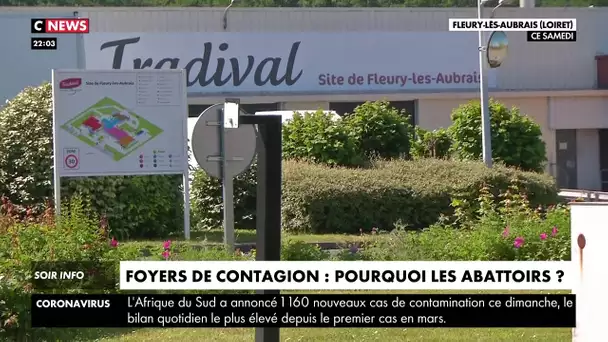 Foyers de contagion : pourquoi les abattoirs ?