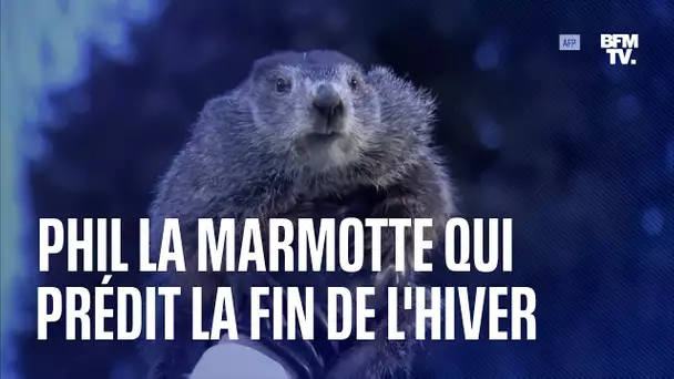 Phil la marmotte météorologue livre ses prédictions pour l'hiver 2022