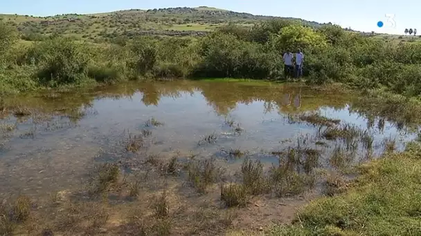 Lozère (48) : une étude hydrogéologique pour protéger les sources