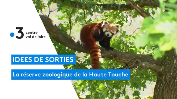 Obterre : la réserve zoologique de la Haute Touche dans l'Indre est prêt à accueillir les visiteurs