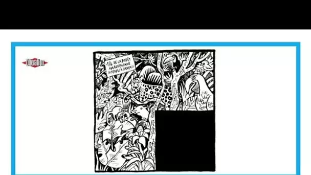 "Pendant que Bolsonaro s'enflamme, l'Amazonie brûle" • FRANCE 24