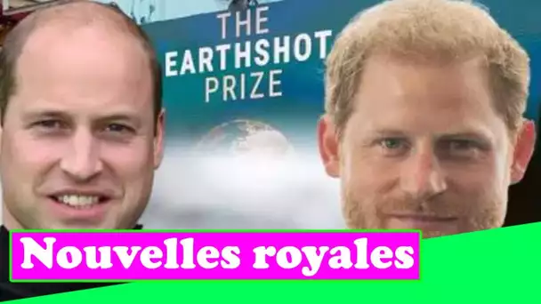 Fin de la querelle royale ? Le prince Harry pourrait-il accueillir le prix Earthshot de son frère au