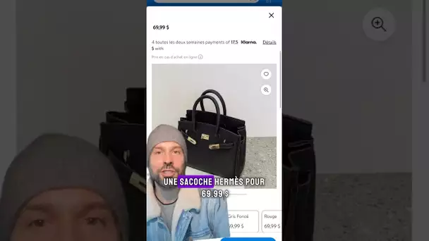 Devrais-je acheter ce faux Birkin à 69,99 $ chez Walmart ? 💸😅👜