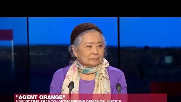 Tran To Nga, victime de "l'agent orange" : "J’ai la conviction que ce que je fais est juste"