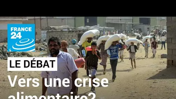 Vers une crise alimentaire mondiale ? • FRANCE 24