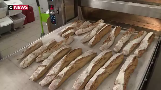 Boulangerie : de plus en plus de femmes se lancent dans le métier