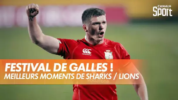 Les meilleurs moments de Sharks / Lions