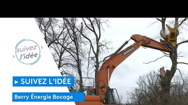 Suivez l'idée : Berry Énergie Bocage, l'entreprise qui valorise le bois