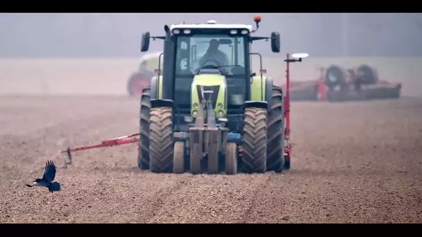 "Il faut créer des vocations" : l'appel des Jeunes agriculteurs à Emmanuel Macron