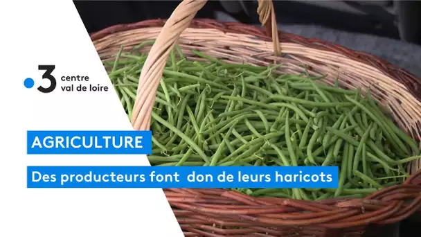 Souvigny-en-Sologne : des producteurs bio offrent gratuitement des haricots verts