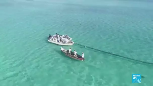 Marée noire à l'île Maurice : les Réunionnais s'inquiètent de voir leurs plages souillées