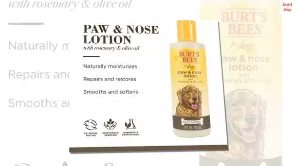 Burt's Bees for Dogs Natural Paw & Nose Lotion with Rosemary & Olive Oil | Soothing Lotion